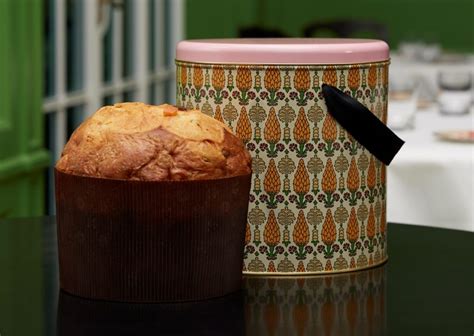 gucci panettone prezzo